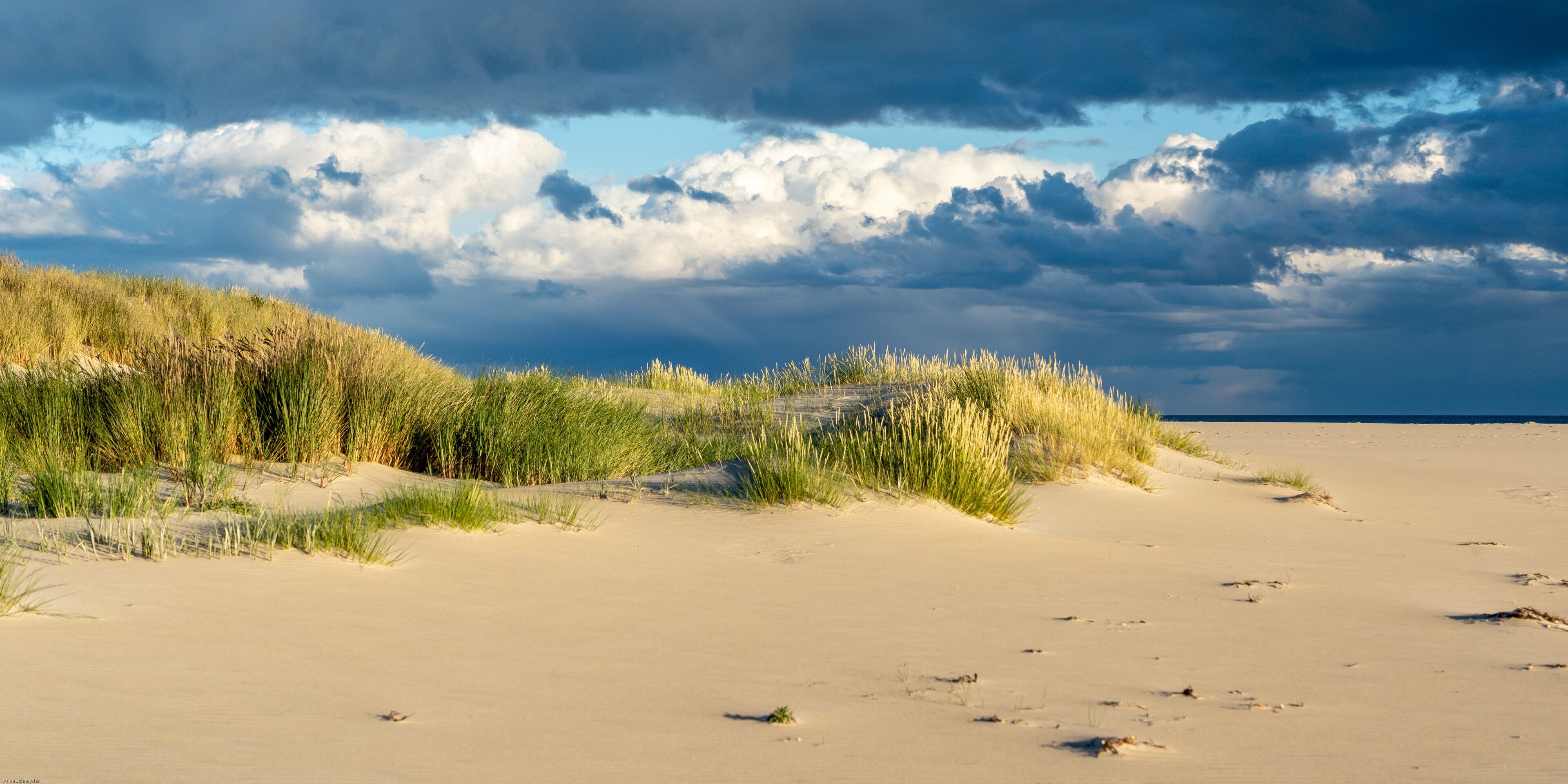 A beach with sand dunes and grassy vegetation under a cloudy sky.