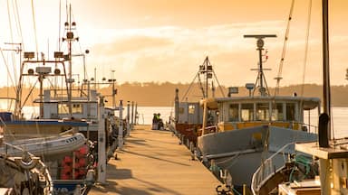 St Helens showing a bay or harbour, boating and a sunset