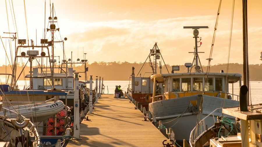St Helens which includes a bay or harbor, boating and a sunset