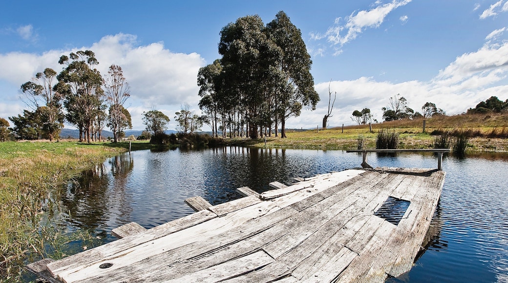 St Helens showing a pond and tranquil scenes