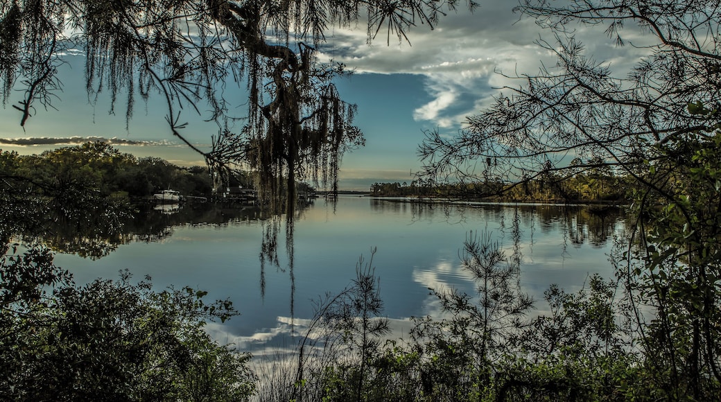 The bayou in Lynn Haven Florida at sunset
