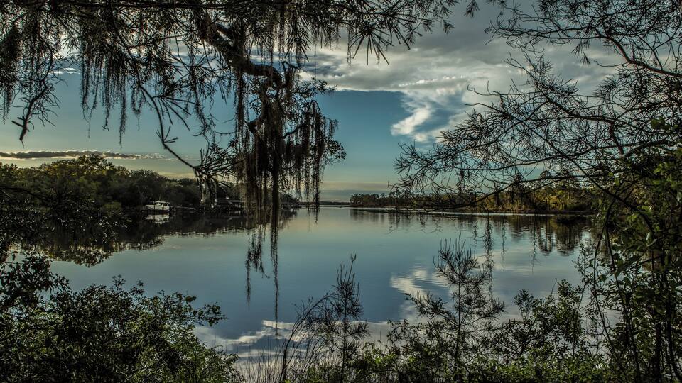 A calm lake with reflections of trees and sky, surrounded by dense foliage and a distant shoreline.