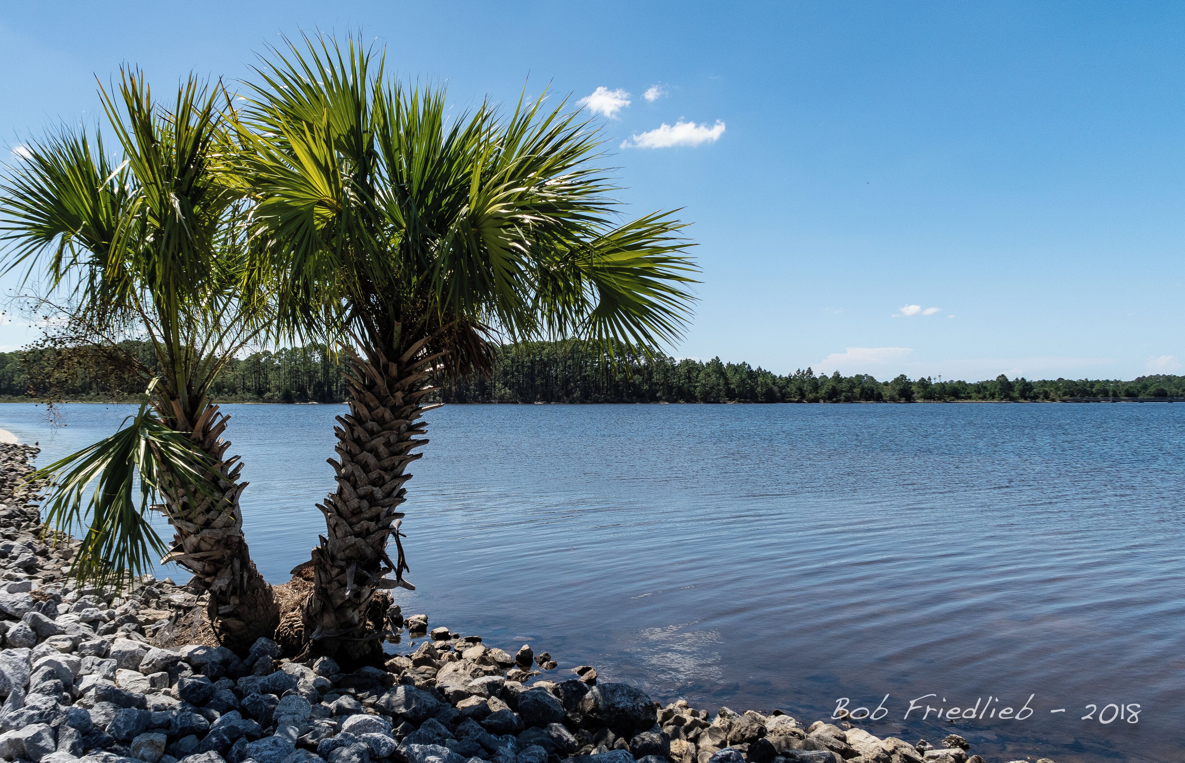 Looking out into the bay from A.L. Kinsaul Park in Lynn Haven FL

https://www.facebook.com/pages/AL-Kinsaul-Park/236331786396369