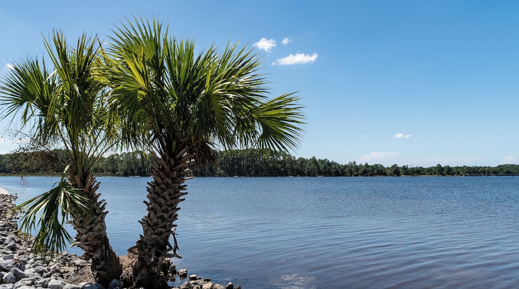 Looking out into the bay from A.L. Kinsaul Park in Lynn Haven FL
https://www.facebook.com/pages/AL-Kinsaul-Park/236331786396369