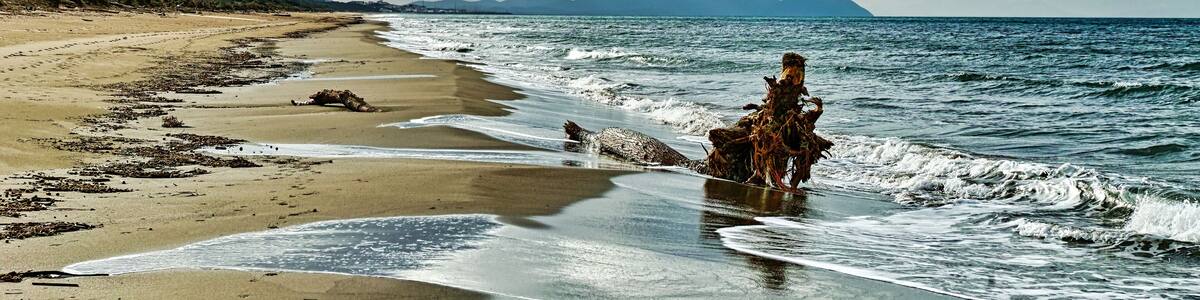 Panorama on the beach at Marina di Castagneto Carducci on a stormy day Tuscany Italy