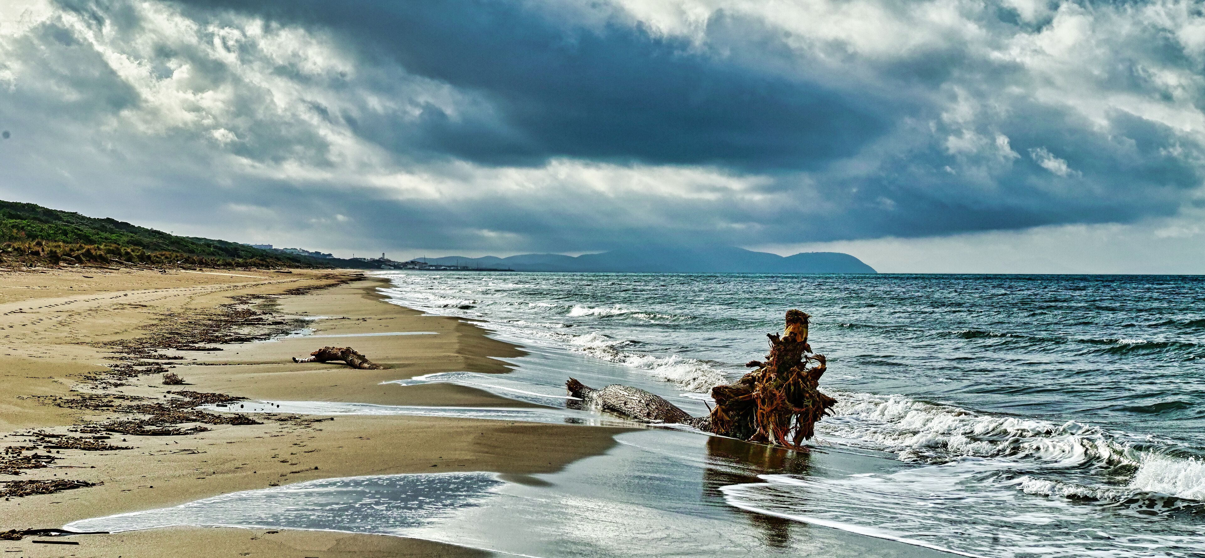 A beach with waves, seaweed, and a cloudy sky.
