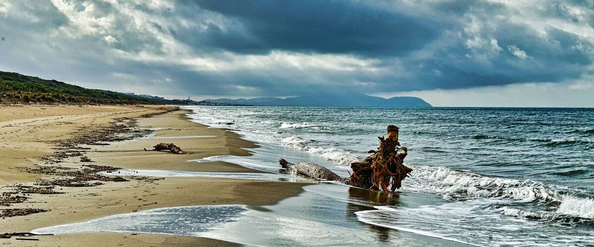 A beach with waves, seaweed, and a cloudy sky.