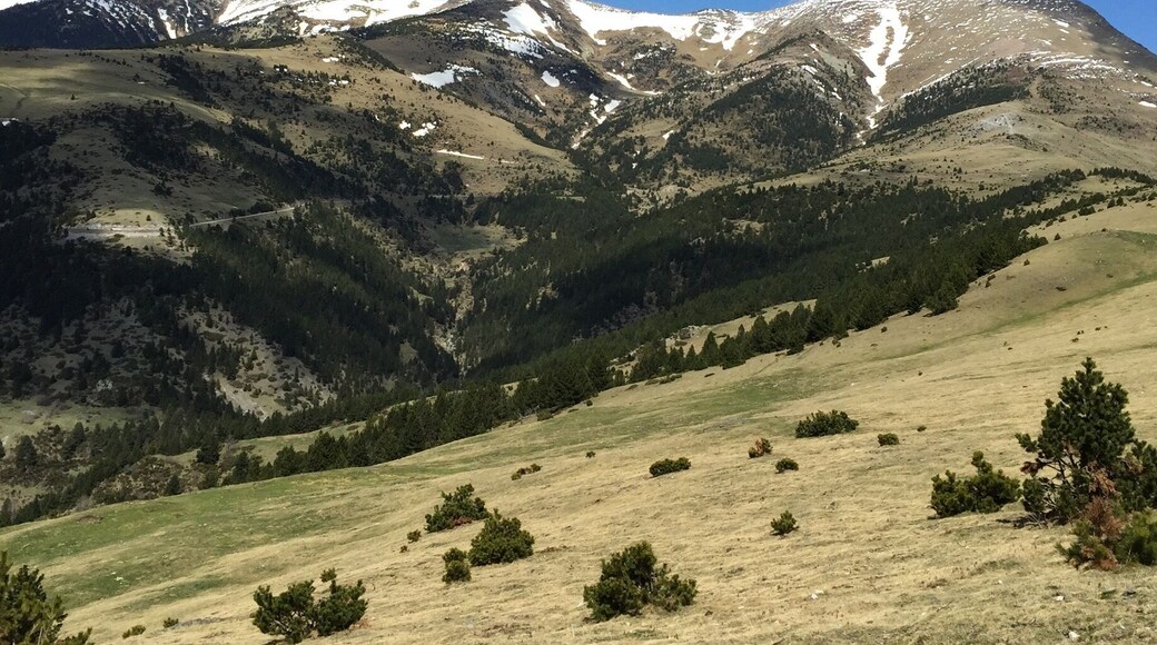 Up on the mountains. Spain, Pyrenees.