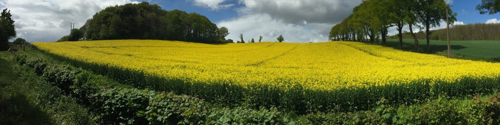 This is what you find if you opt out of motorways in France