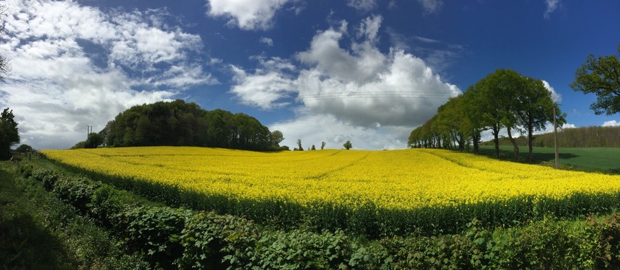 This is what you find if you opt out of motorways in France