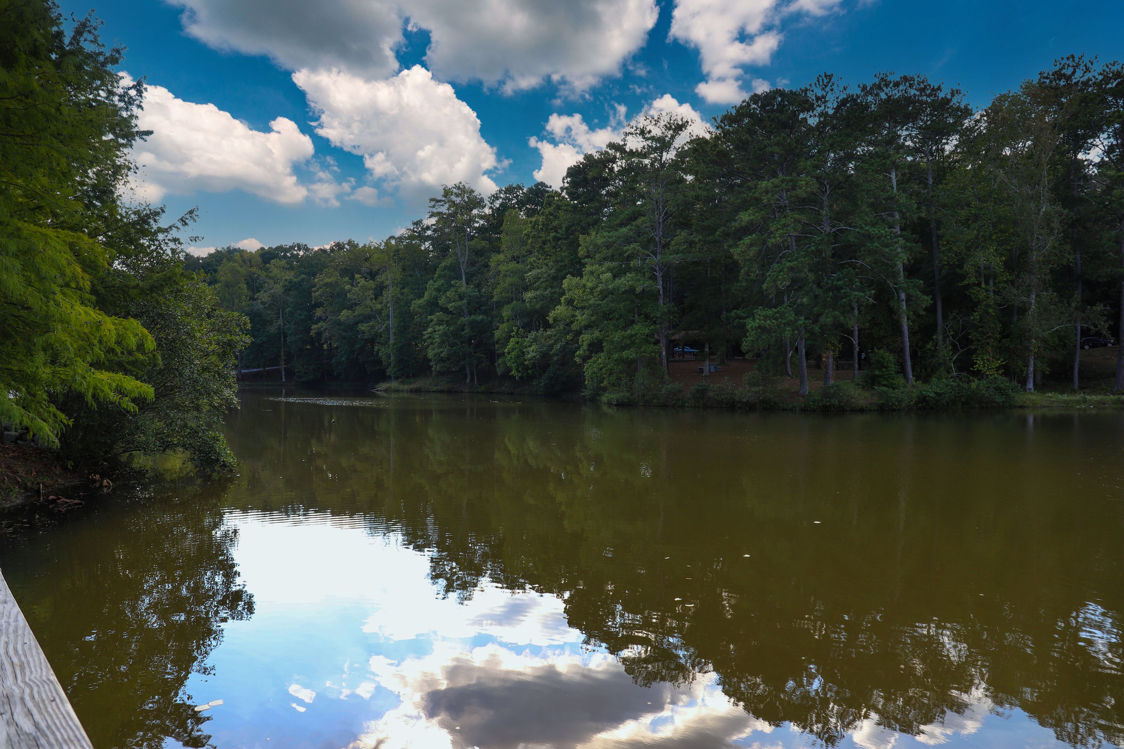 a gorgeous shot of the still green lake water surrounded by lush green and autumn colored trees with blue sky and clouds at Duncan Park in Fairburn Georgia USA