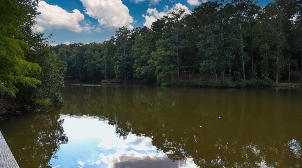a gorgeous shot of the still green lake water surrounded by lush green and autumn colored trees with blue sky and clouds at Duncan Park in Fairburn Georgia USA