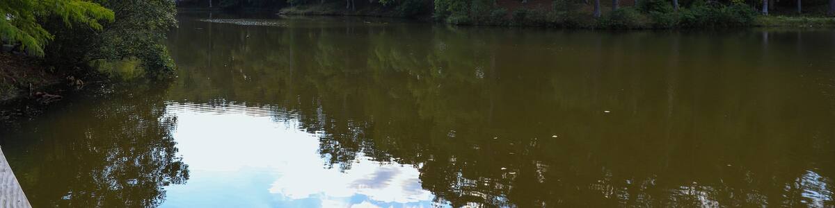 a gorgeous shot of the still green lake water surrounded by lush green and autumn colored trees with blue sky and clouds at Duncan Park in Fairburn Georgia USA