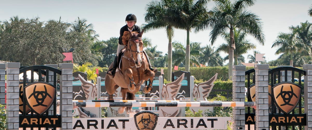 The Palm Beach International Equestrian Center in Wellington Florida is home to the Winter Equestrian Festival that runs January - April. The facility is 500 acres (200 hectare) with 18 competition arenas. Parking is limited. Shopping and dining is superb.