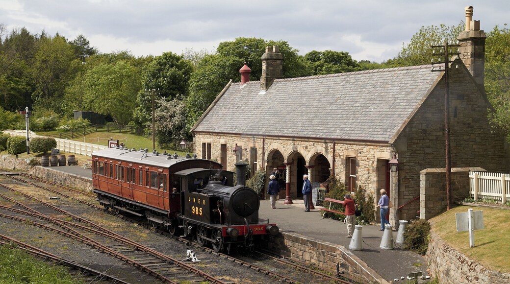 Beamish Museum, County Durham, England. This is the single platform station on the Town railway, seen from the opposite embankment, to the south east. LNER Y7 NO. 985 is in steam.