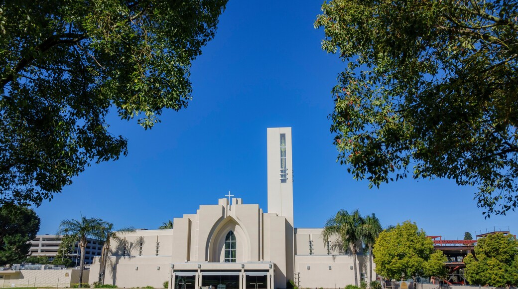 Church of the Loma Linda University