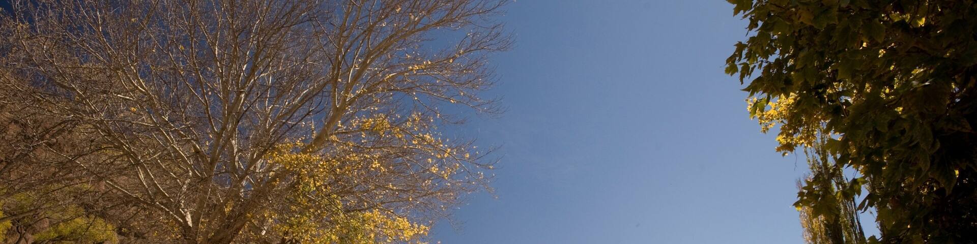 Cafayate featuring street scenes