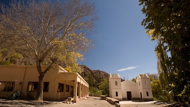 Cafayate