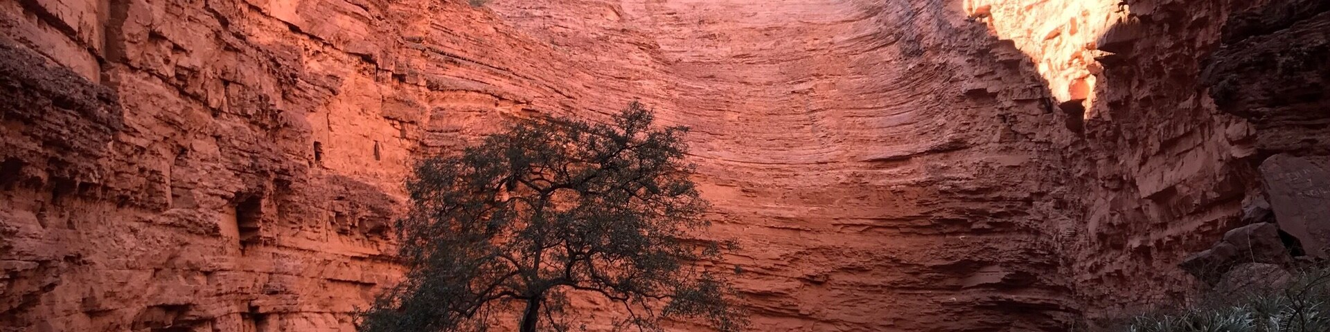 On the way from Salta to Cafayate you will pass by a gorge called Garganta del Diablo. It is quite a touristy place as many tours stop there. I recommend you to hire a car and drive to Cafayate by yourself. A car costs only 40 US$ a day and the streets are very well maintained. It is absolutely worth to climb over the rocks up to the end of the gorge to get the best view and enjoy the stunning shades of orange.