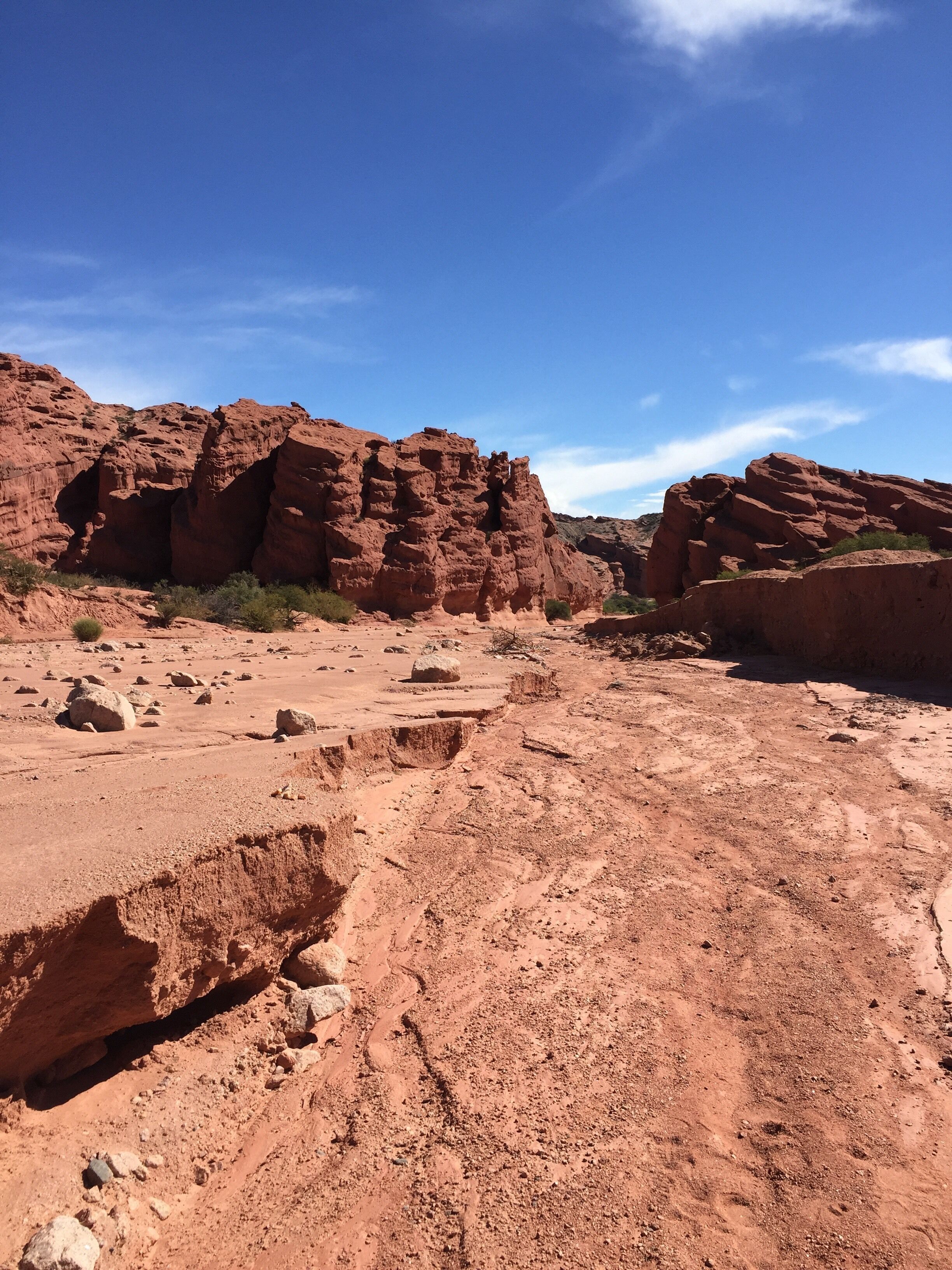 Increíble Spot, no se lo pierdan!