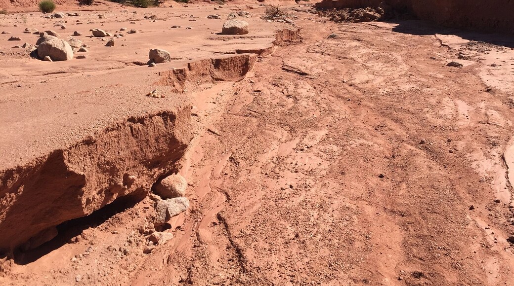 Increíble Spot, no se lo pierdan!