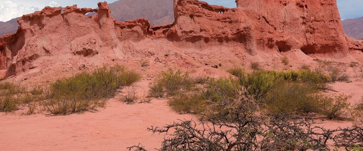 They got some natural locomotives out here yo.
http://goo.gl/SKvkXc