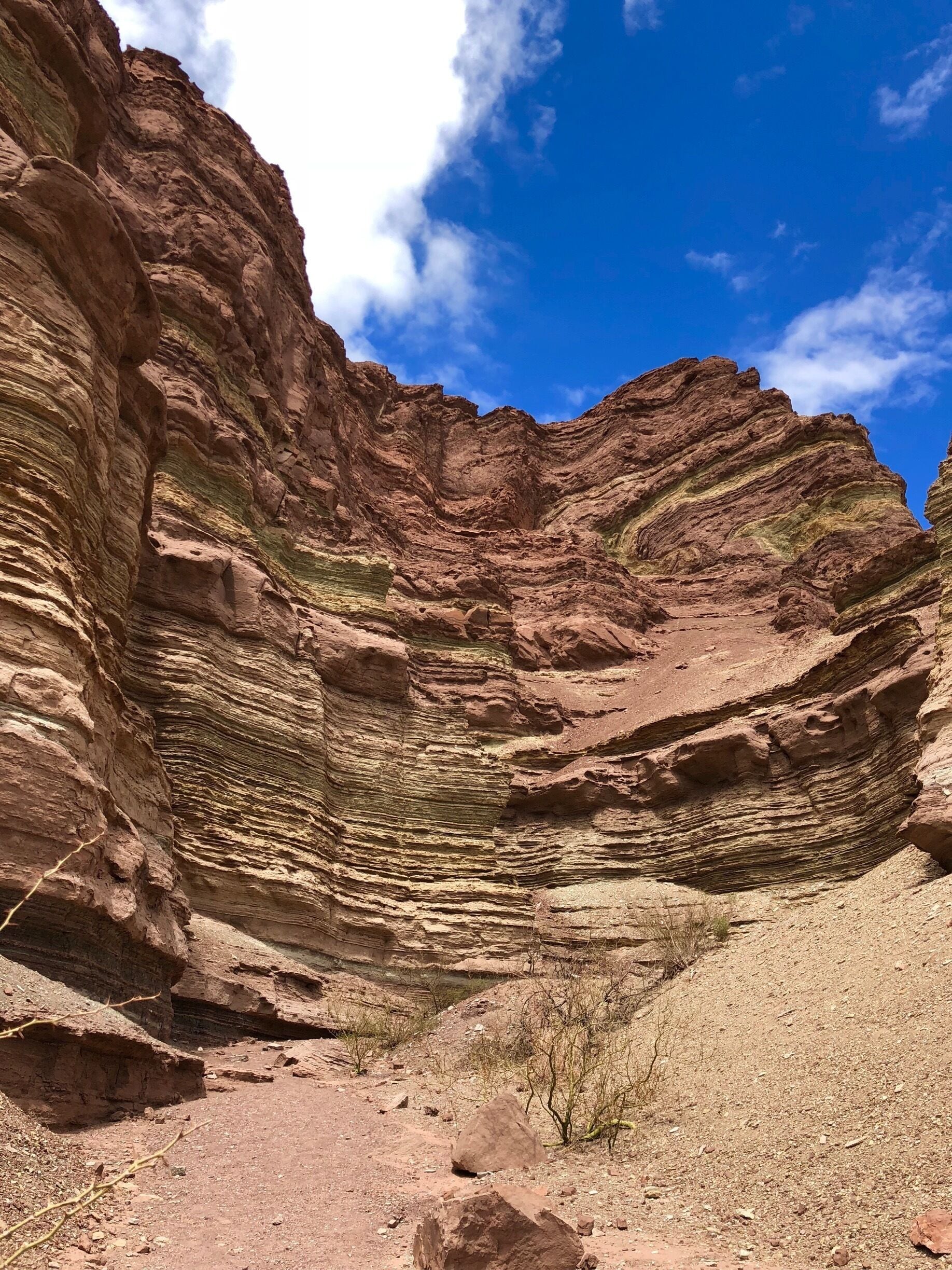 A canyon with layered rock formations and sparse vegetation.