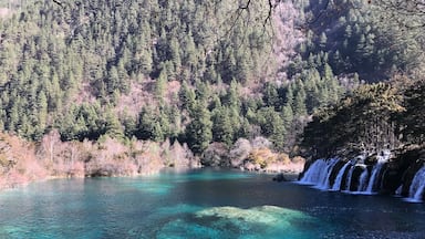 Um lago límpido rodeado por floresta densa e uma cascata.