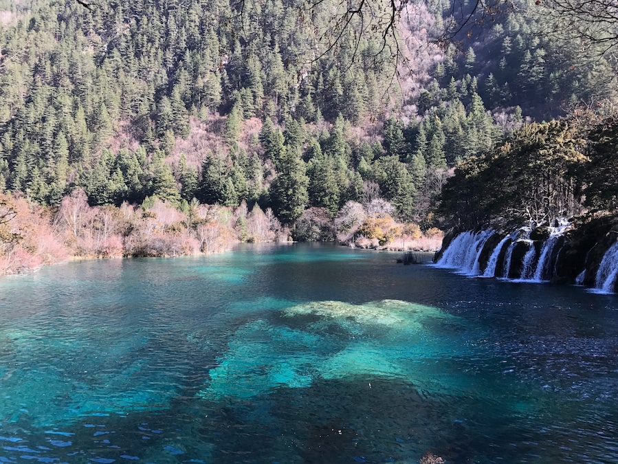 树正群海