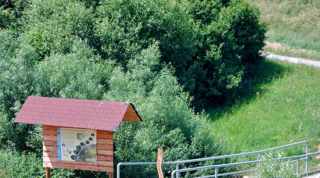 Landschaftspark Klingenbach in Steinenbronn