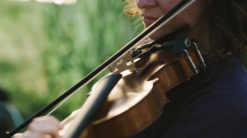 Lafayette showing music