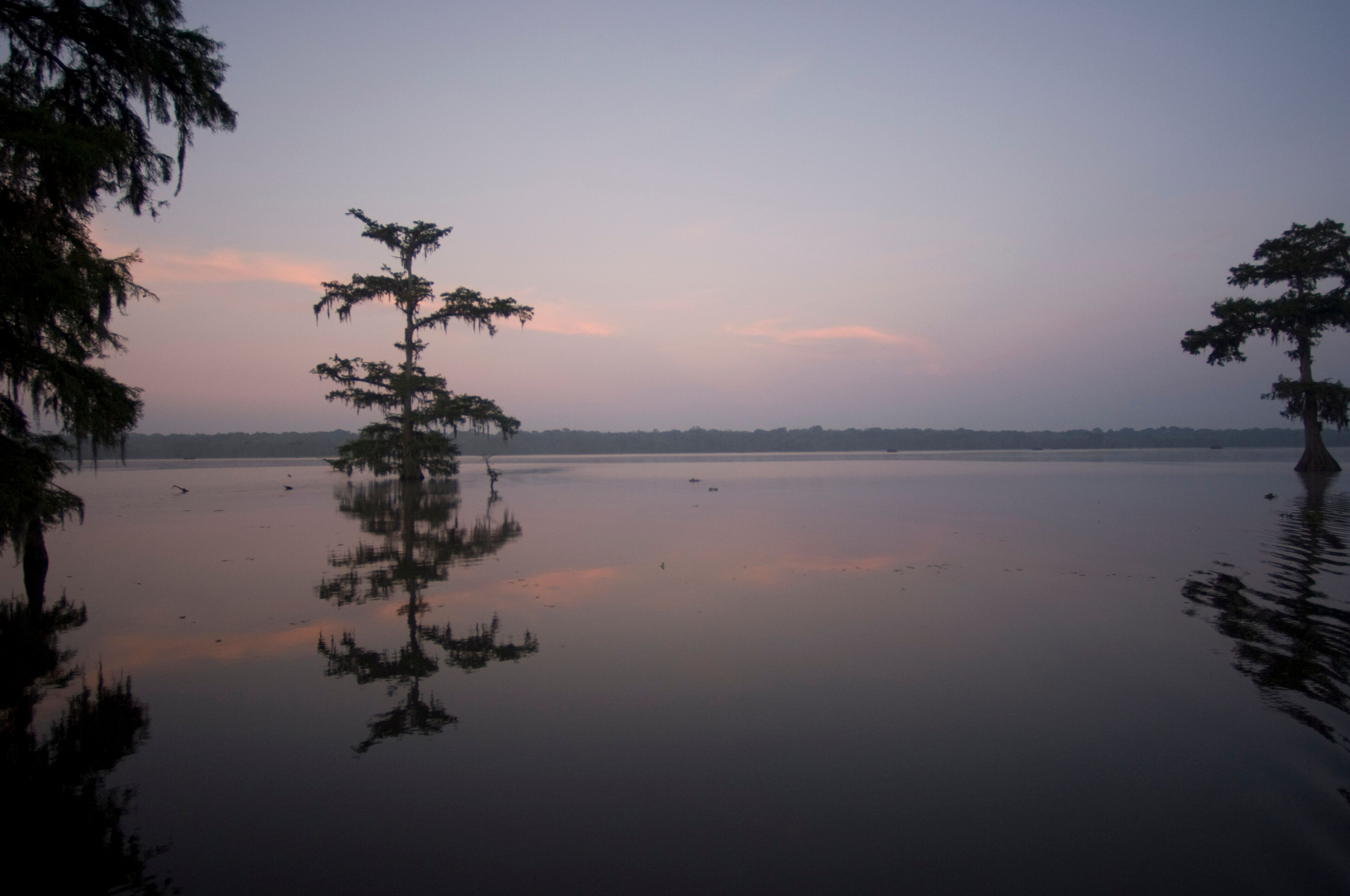 A calm lake with reflections of trees and a clear sky.