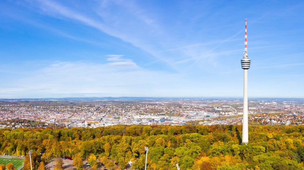 A tall tower with a flag, surrounded by autumn-colored trees and a cityscape in the background.