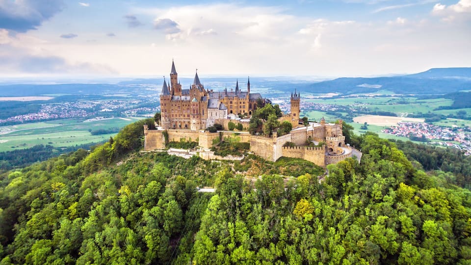 A castle on a hill surrounded by dense forest.