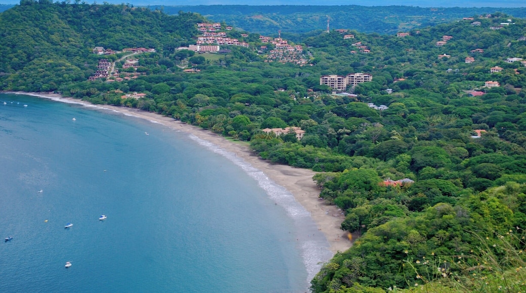 A birds eye view of the white sand beach of Playa Hermosa.
http://www.divebuddies4life.com/playa-del-coco-snorkeling-spots/