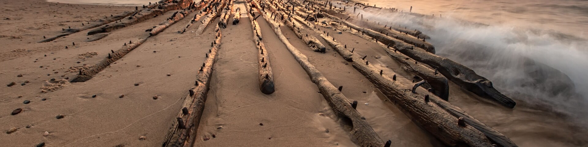 Una playa con ramas de madera varadas alineadas en filas, olas del océano y un atardecer al fondo.