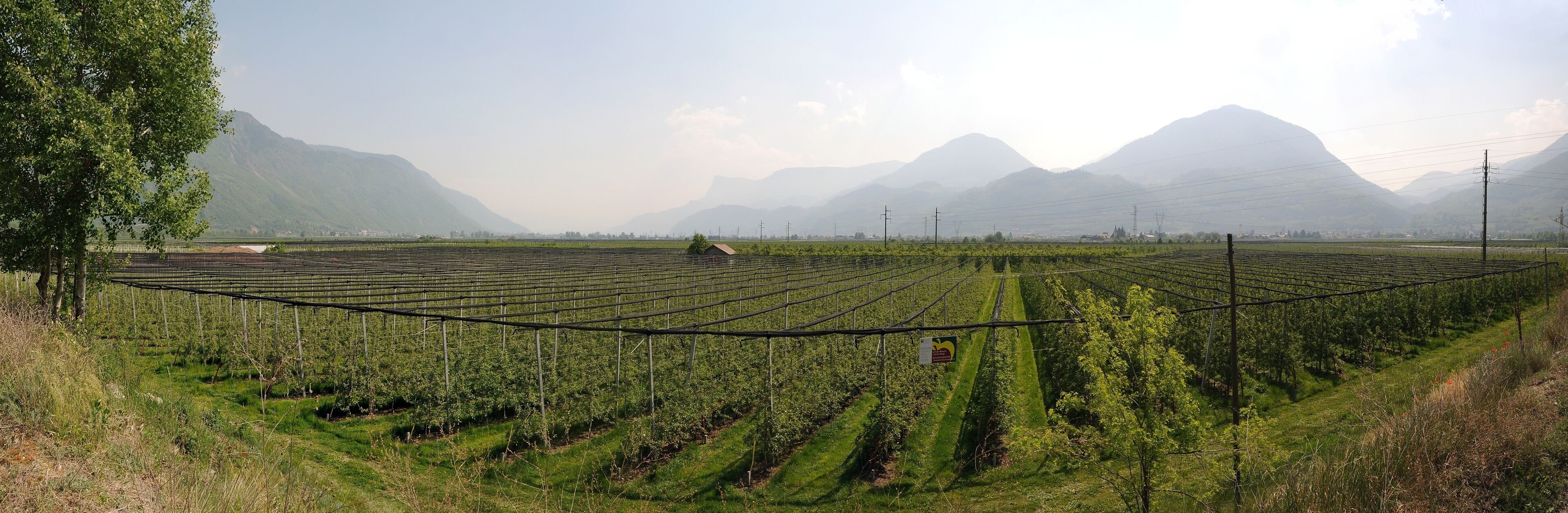 NOTE: This image is a panorama consisting of multiple frames that were merged or stitched in software. As a result, this image necessarily underwent some form of digital manipulation. These manipulations may include blending, blurring, cloning, and color and perspective adjustments. As a result of these adjustments, the image content may be slightly different than reality at the points where multiple images were combined. This manipulation is often required due to lens, perspective, and parallax distortions.