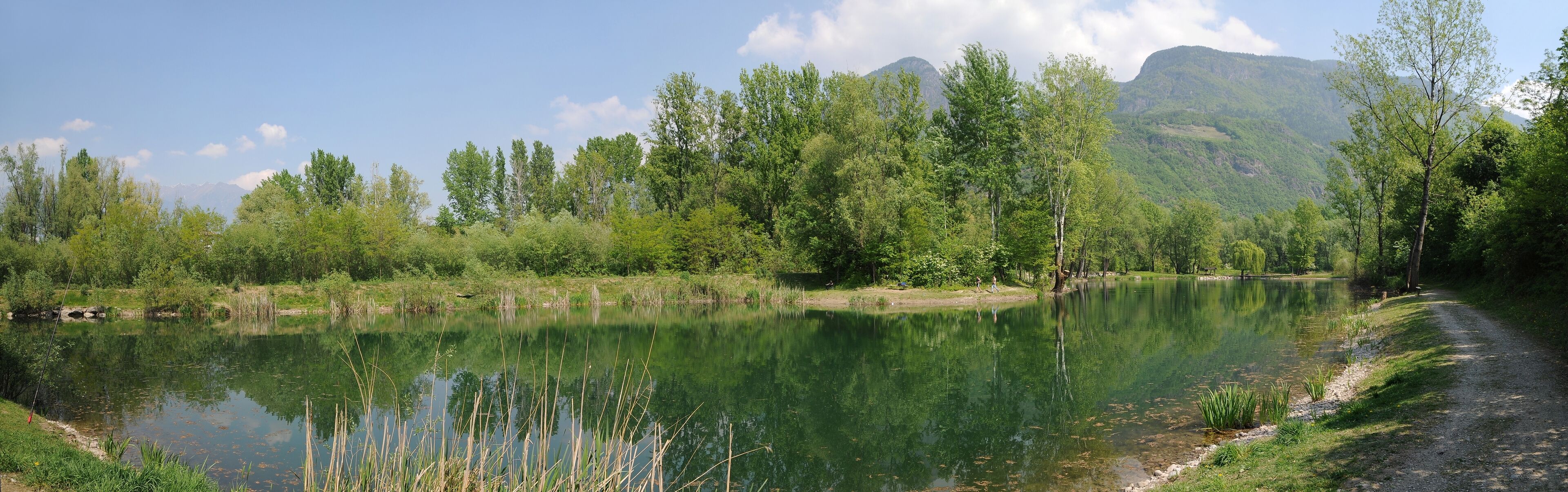 Ein Fischteich in den Etschauen bei Lana erkunden.