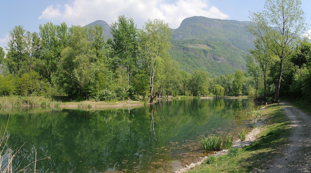 Ein Fischteich in den Etschauen bei Lana erkunden.