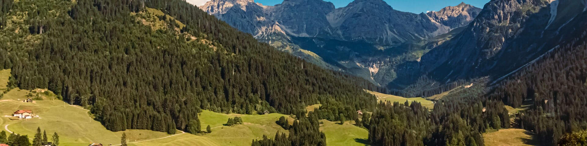 Un paisaje montañoso con un valle, casas y bosques densos.