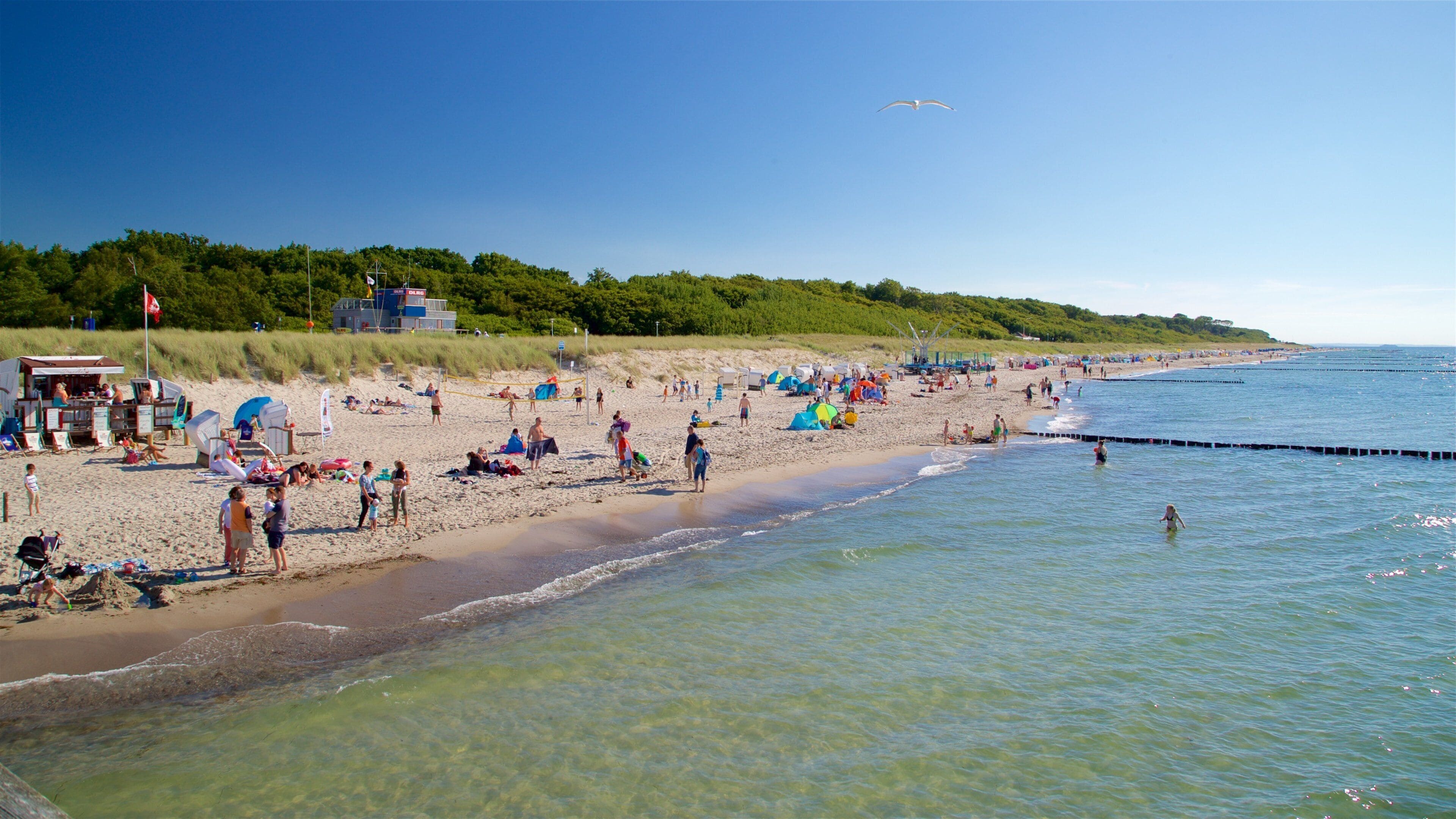 A crowded beach with people sunbathing and swimming, tents, and a lifeguard tower.