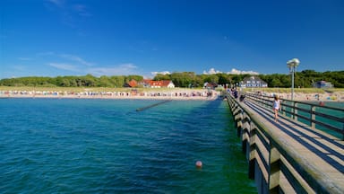 Graal Mueritz which includes general coastal views
