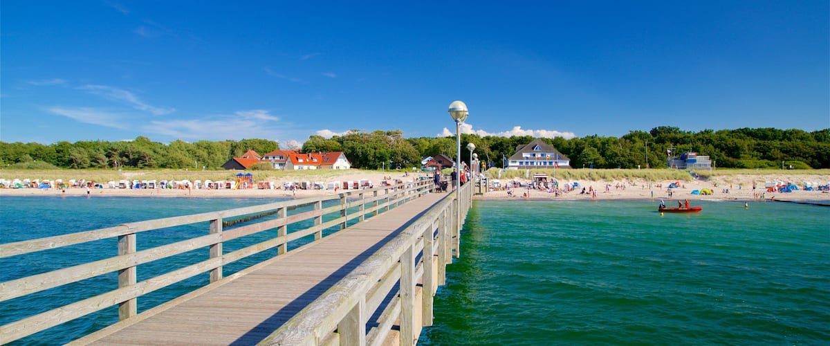 A wooden pier extending into a greenish-blue body of water, with a beach and houses in the background.