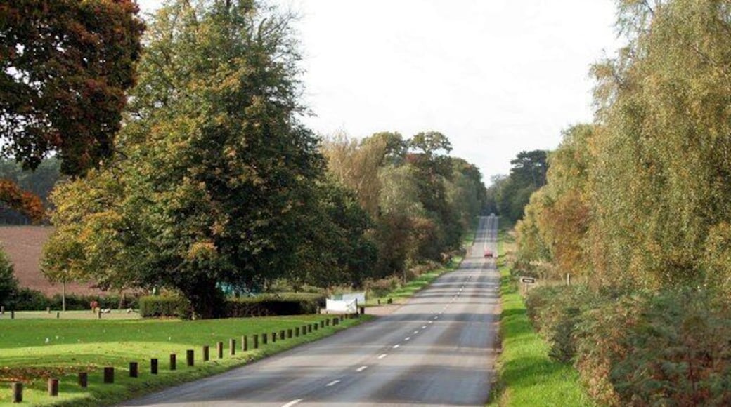 The road by Thoresby Hall