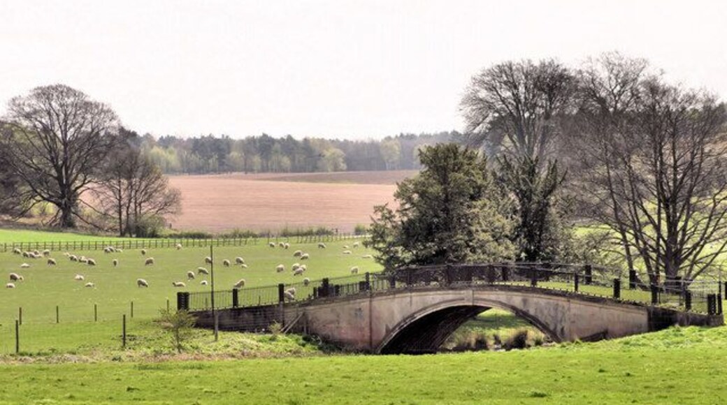Bridge in Thoresby Park Nottinghamshire