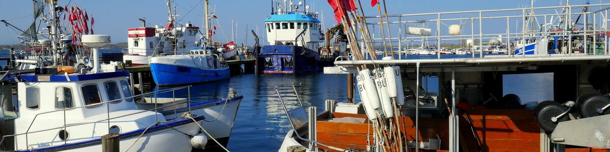 malerischer Fischereihafen in Burg auf Fehmarn mit bunten Fischerbooten unter blauem Himmel