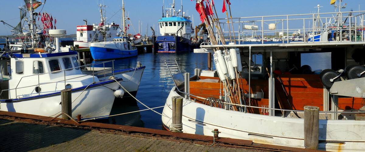 A marina with several boats docked, including a blue and white vessel and a white boat with red flags.