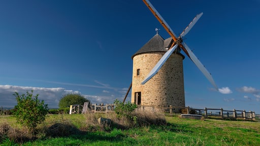 view of old rustic historic windmill Moulin de Moidrey in green grass field meadow Pontorson Normandy France