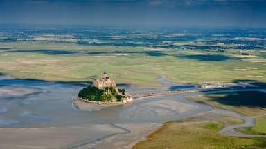 An aerial view of a castle on a small island surrounded by a river delta.