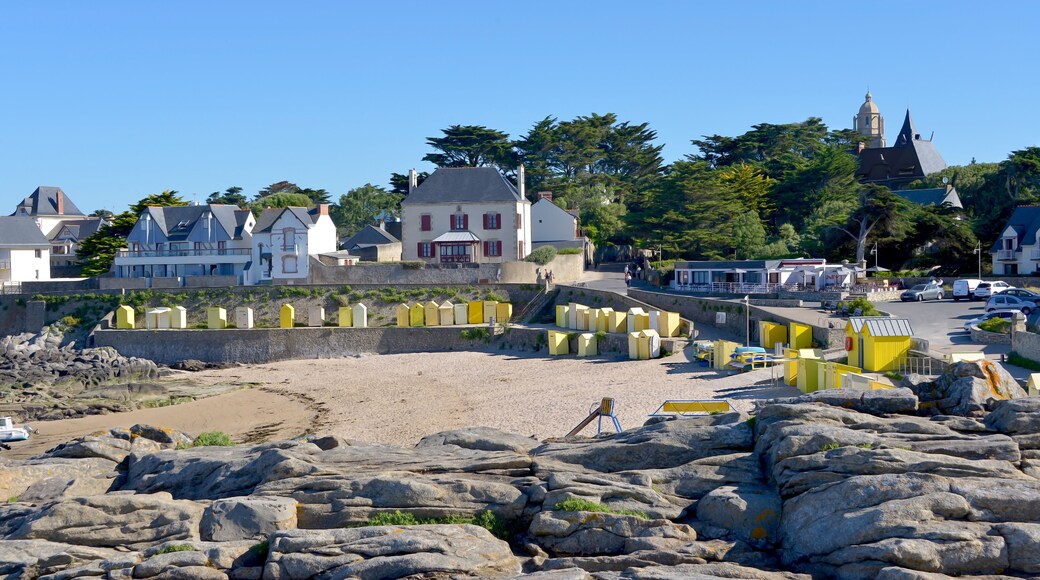 باتز سور مير